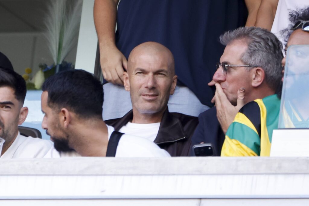 Zidane France Coach